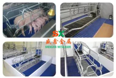 Pig Equipment Pig Farrowing Crate Dengan Pagar PVC Mesin Ternak